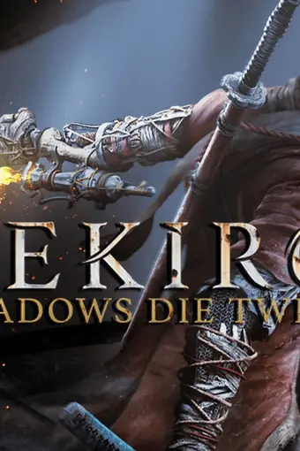 sekiro-shadows-die-twice-steam-altergift_cover_68f292dfda30f